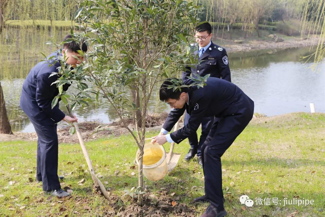 PP王者电子(PP)官方网站 - 正版试玩平台